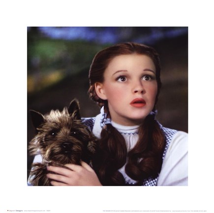 Framed Wizard of Oz - Dorothy and Toto Print