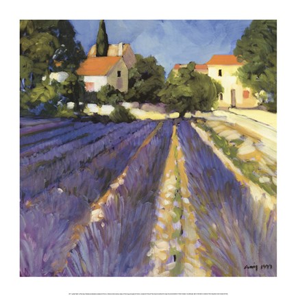 Framed Lavender Fields Print