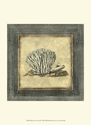 Framed Mini Exotic Coral IX Print