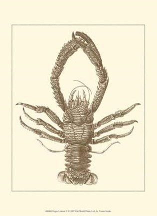 Framed Sepia Lobster II Print