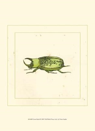 Framed Green Beetle Print