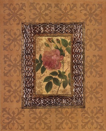 Framed Rose Illumination II Print