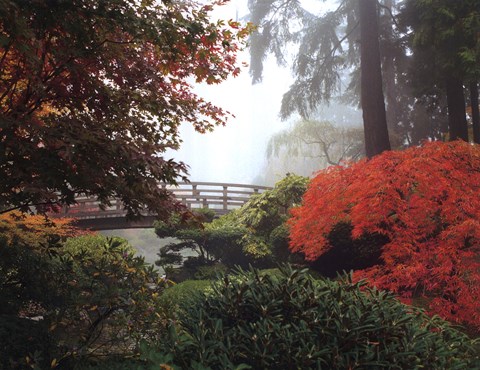 Framed Japanese Garden II Print