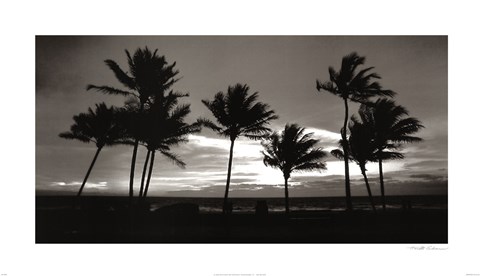 Framed Sunrise Palms Print