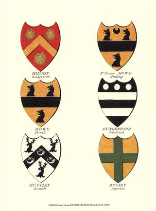 Framed Coat of Arms II Print