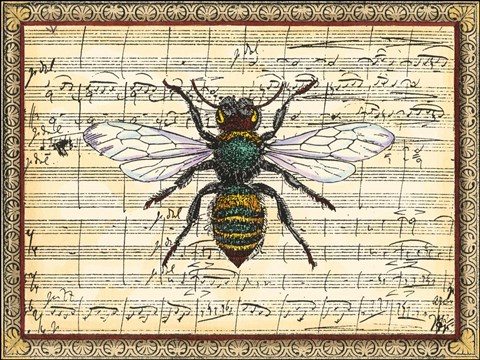 Framed Bumblebee Harmony I Print