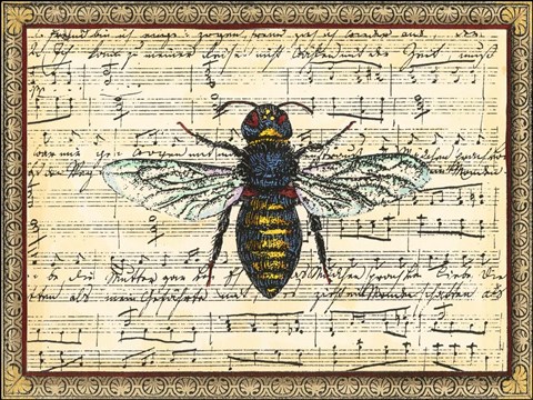 Framed Bumblebee Harmony II Print