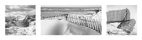Framed Beach Fences Print