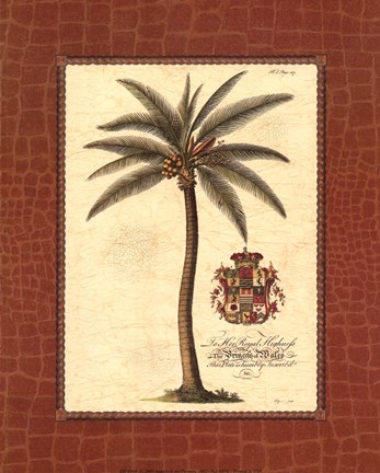 Framed Coconut Palm Print