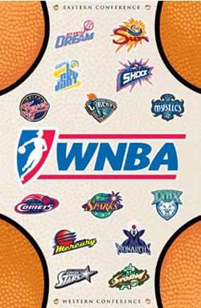 Basketball Poster Black Women WNBA (18x24)