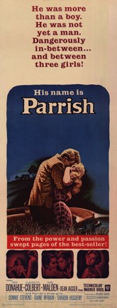 Framed Parrish Print