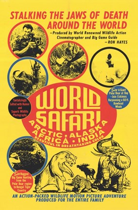 Framed World Safari Print