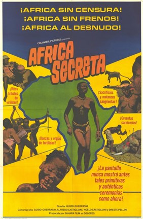 Framed Secret Africa Print