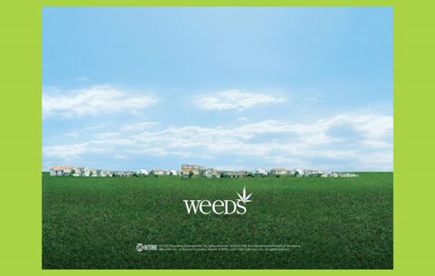 Framed Weeds (TV) Town Print