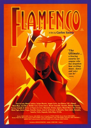 Framed Flamenco Print