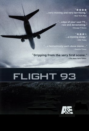 Framed Flight 93 Print