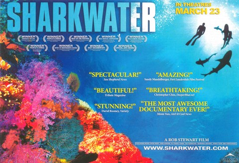 Framed Sharkwater Print