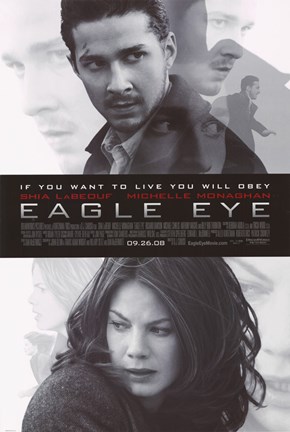 Framed Eagle Eye Print