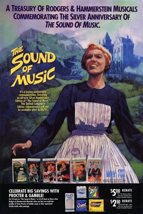 Framed Sound of Music Musical Print