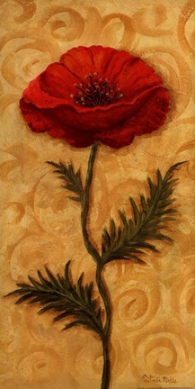 Framed Red Poppy Print