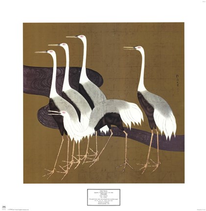 Framed Cranes Print