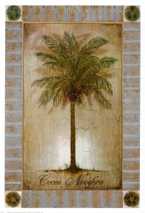 Framed Cocos Nucifera Print