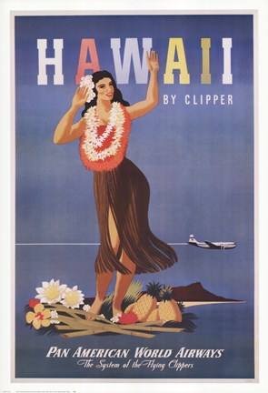 Framed Hawaii by Clipper Print