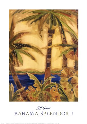 Framed Bahama Splendor I Print
