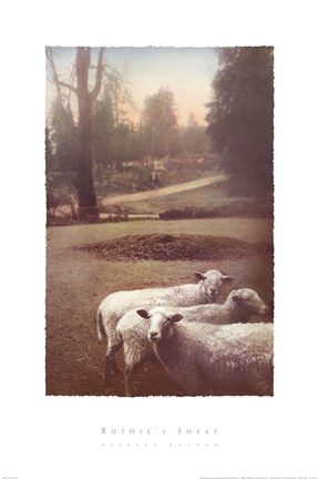 Framed Ruthie&#39;s Sheep Print
