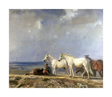 Framed On Ringland Hills, 1911 Print