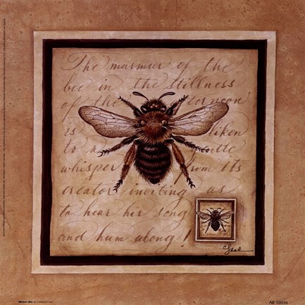 Framed Worker Bee Print