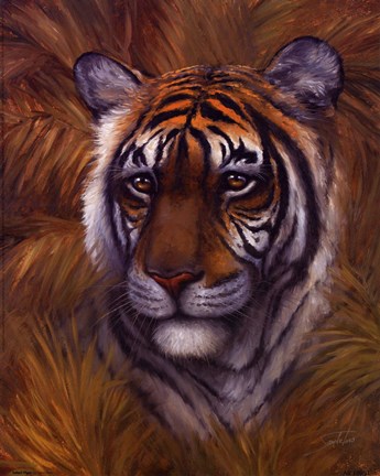 Framed Safari Tiger Print