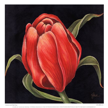 Framed Tulipe Rouge Print