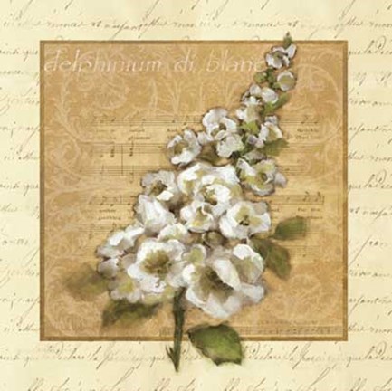 Framed White Delphinium Square Print