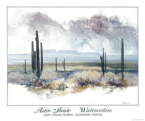 Framed Desert Serenity Print