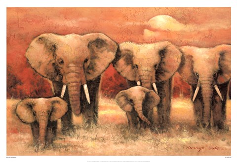 Framed Bull Elephants Print