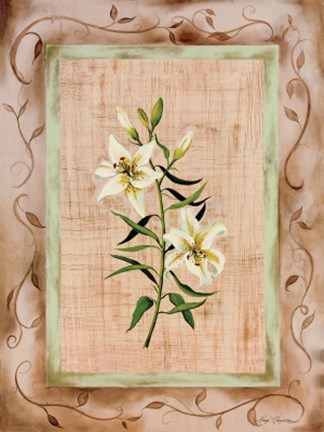 Framed Country Lily Print