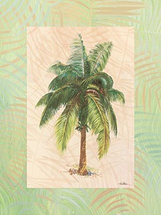 Framed South Pacific Sunshine II Print
