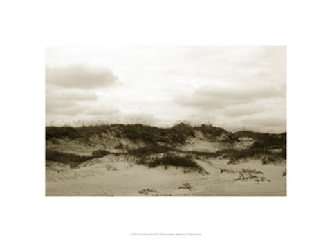 Framed Ocracoke Dune Study III Print
