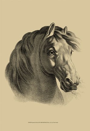 Framed Equestrian Portrait II Print