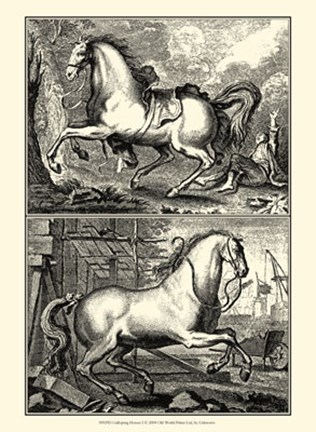 Framed Galloping Horses I Print
