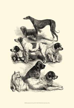 Framed International Show Dogs, 1863  II Print