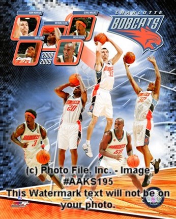 Framed 2008-09 Charlotte Bobcats Team Composite Print