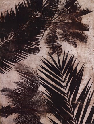 Framed Palms II Print