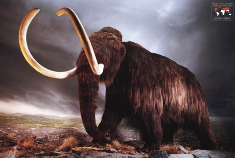 Framed Woolly Mammoth Print