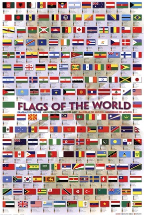 Framed Flags of the World 2008 Print
