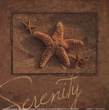 Framed Serenity - starfish Print