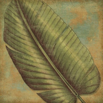 Framed Green Tropic II Print