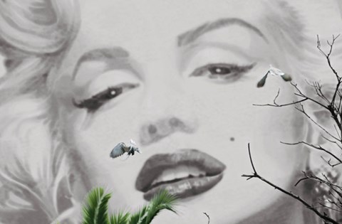 Framed Marilyn a Cannes Print