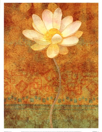 Framed Abstract Lotus II Print